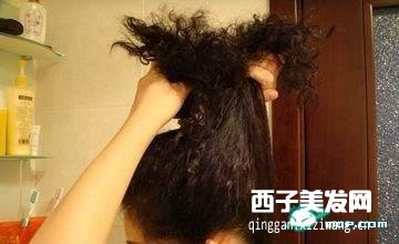 卷發丸子頭扎法圖解