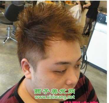最新男士短發造型設計圖片