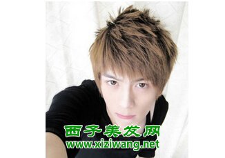 另類男生煙花燙發(fā)型造型輕松變型男