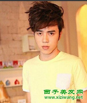 個性非主流男生燙發發型圖片及名稱