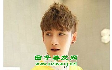 自來卷軟質(zhì)男生適合發(fā)型