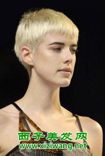 女超短發(fā)發(fā)型圖片適合女生的超短發(fā)
