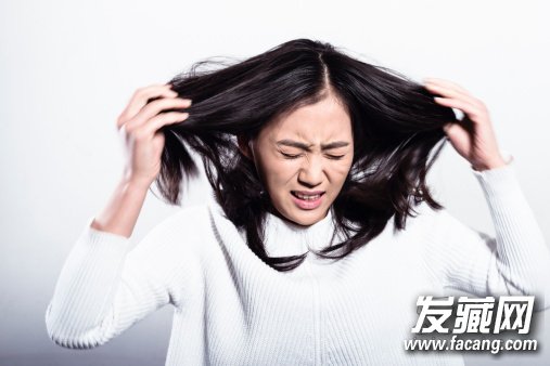 全智賢Angelababy女神支招過年怎么剪發型
